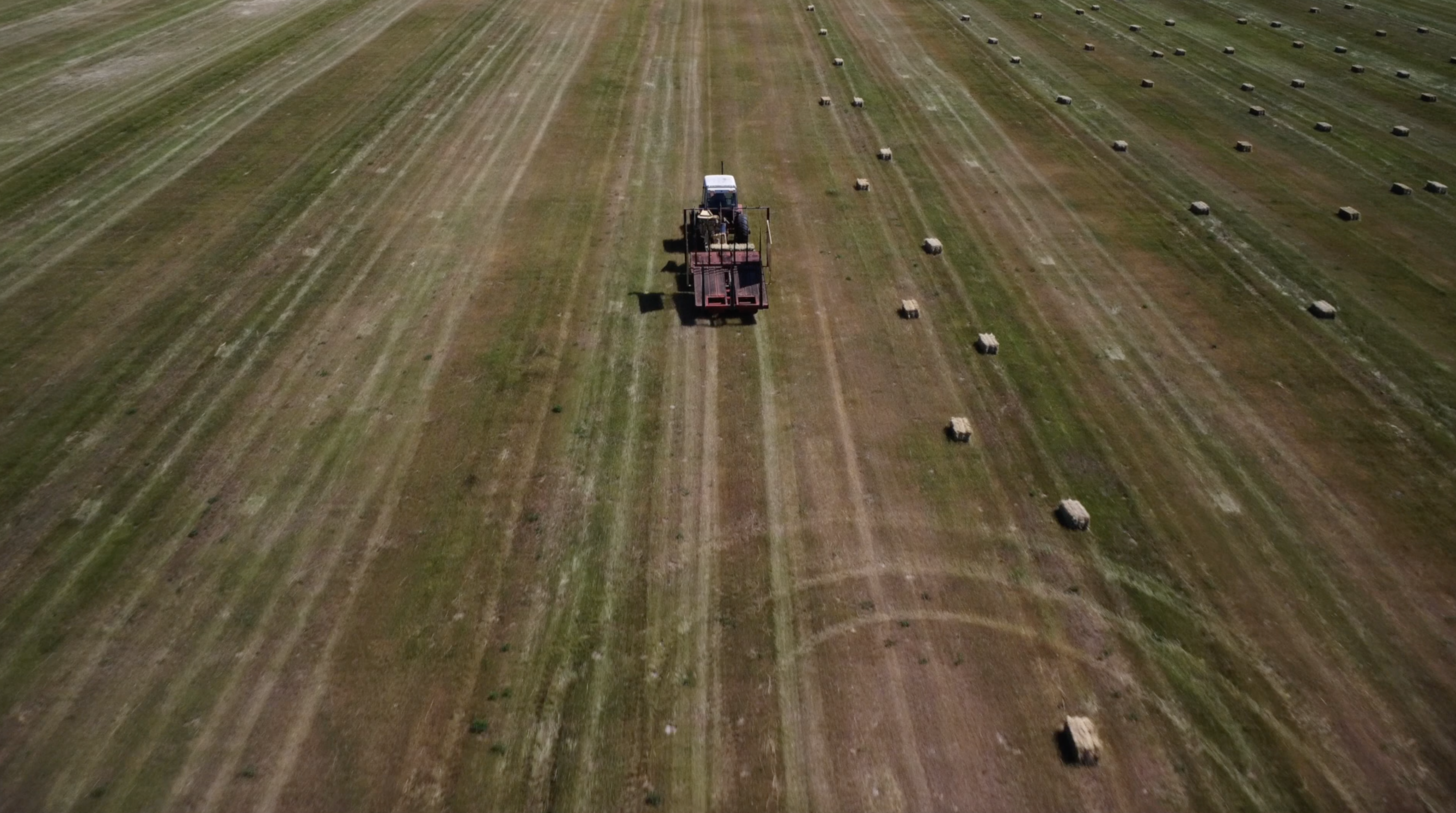 Why family-owned farms are so crucial to America's agriculture industry - Vimarsana News